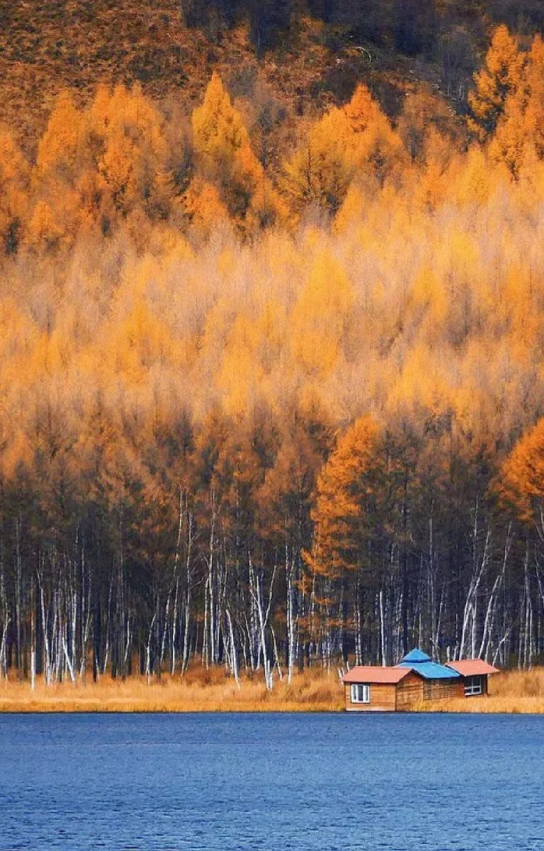 已经开始期待,阿尔山封神级别的秋天了🍂